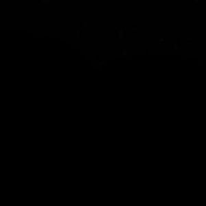 Meet your Posher, Binta